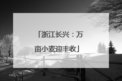 浙江长兴：万亩小麦迎丰收