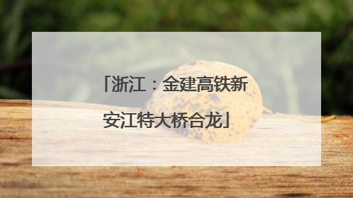 浙江：金建高铁新安江特大桥合龙