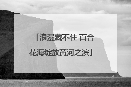 浪漫藏不住 百合花海绽放黄河之滨
