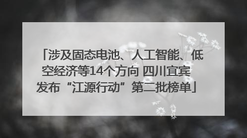 涉及固态电池、人工智能、低空经济等14个方向 四川宜宾发布“江源行动”第二批榜单
