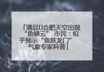 清晨﻿合肥天空出现“鱼鳞云” 市民：似乎预示“鱼跃龙门” 气象专家科普