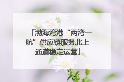 渤海湾港“两湾一航”供应链服务北上通道稳定运营