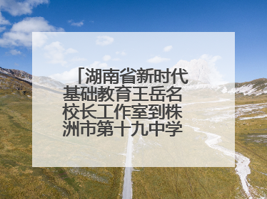 湖南省新时代基础教育王岳名校长工作室到株洲市第十九中学开展研修活动