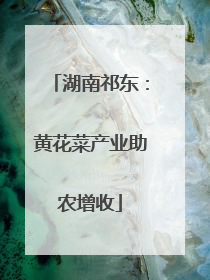 湖南祁东：黄花菜产业助农增收