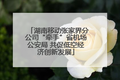 湖南移动张家界分公司“牵手”省机场公安局 共促低空经济创新发展