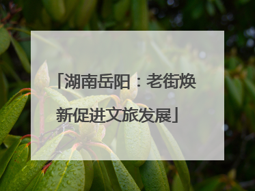 湖南岳阳：老街焕新促进文旅发展