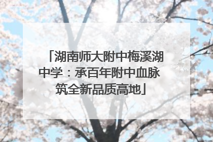 湖南师大附中梅溪湖中学：承百年附中血脉 筑全新品质高地