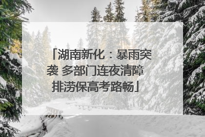 湖南新化：暴雨突袭 多部门连夜清障排涝保高考路畅