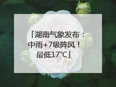湖南气象发布：中雨+7级阵风！最低17℃