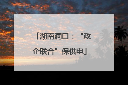 湖南洞口：“政企联合”保供电