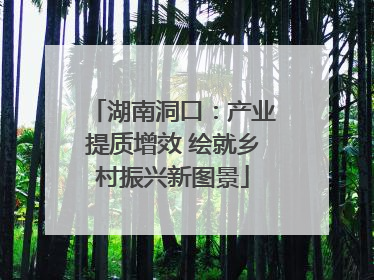 湖南洞口：产业提质增效 绘就乡村振兴新图景