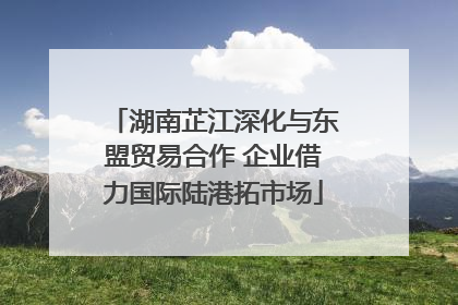 湖南芷江深化与东盟贸易合作 企业借力国际陆港拓市场