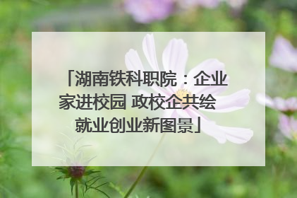 湖南铁科职院：企业家进校园 政校企共绘就业创业新图景