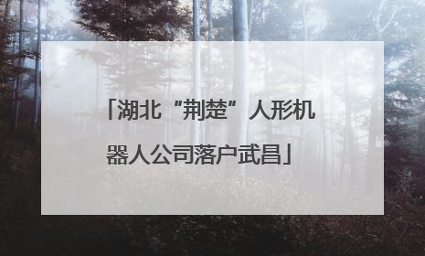 湖北“荆楚”人形机器人公司落户武昌
