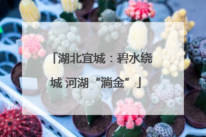 湖北宜城：碧水绕城 河湖“淌金”
