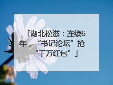 湖北松滋：连续6年，“书记论坛”抢“千万红包”