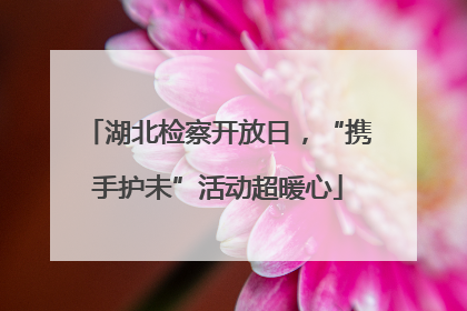 湖北检察开放日，“携手护未”活动超暖心