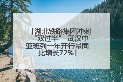 湖北铁路集团冲刺“双过半” 武汉中亚班列一年开行量同比增长72%