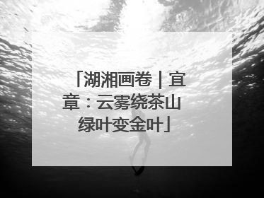 湖湘画卷｜宜章：云雾绕茶山 绿叶变金叶