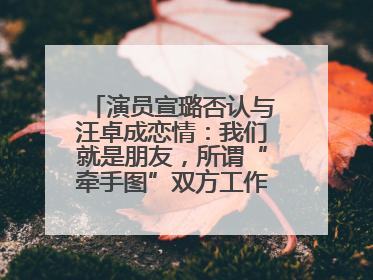 演员宣璐否认与汪卓成恋情：我们就是朋友，所谓“牵手图”双方工作人员均在场