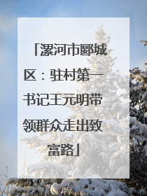 漯河市郾城区：驻村第一书记王元明带领群众走出致富路