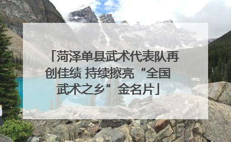 菏泽单县武术代表队再创佳绩 持续擦亮“全国武术之乡”金名片