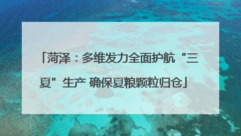 菏泽：多维发力全面护航“三夏”生产 确保夏粮颗粒归仓