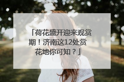 荷花盛开迎来观赏期！济南这12处赏花地你可知？