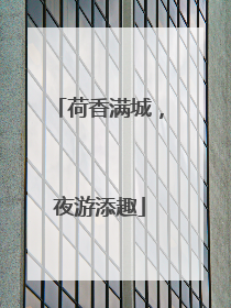 荷香满城，夜游添趣