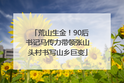 荒山生金！90后书记马传力带领张山头村书写山乡巨变