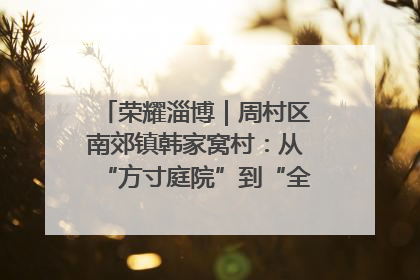 荣耀淄博｜周村区南郊镇韩家窝村：从“方寸庭院”到“全域文明”，乡村振兴的“美学革命”