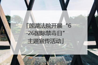 莲湖法院开展“6·26国际禁毒日”主题宣传活动