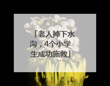 老人掉下水沟，4个小学生成功施救