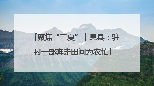 聚焦“三夏”｜息县：驻村干部奔走田间为农忙