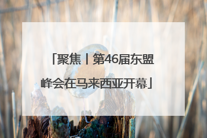 聚焦丨第46届东盟峰会在马来西亚开幕
