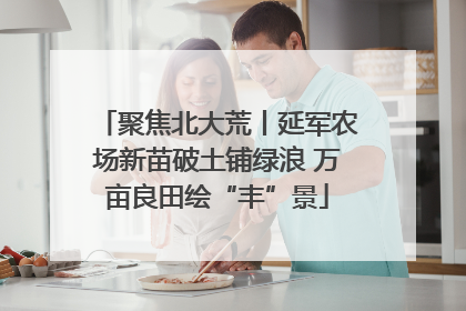 聚焦北大荒丨延军农场新苗破土铺绿浪 万亩良田绘“丰”景