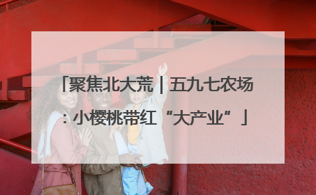 聚焦北大荒｜五九七农场：小樱桃带红“大产业”