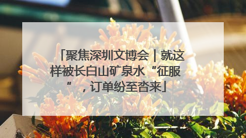 聚焦深圳文博会｜就这样被长白山矿泉水“征服”，订单纷至沓来