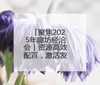 聚焦2025年廊坊经洽会丨资源高效配置，激活发展新动能