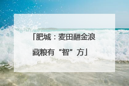 肥城：麦田翻金浪藏粮有“智”方
