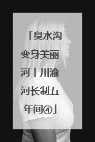 臭水沟变身美丽河丨川渝河长制五年间④