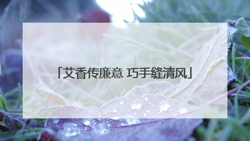 艾香传廉意 巧手缝清风