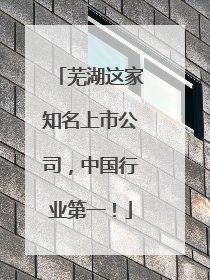 芜湖这家知名上市公司，中国行业第一！