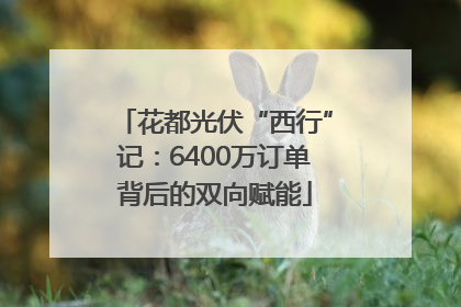 花都光伏“西行”记：6400万订单背后的双向赋能