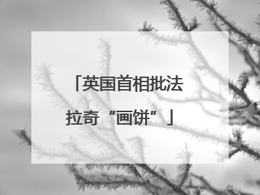 英国首相批法拉奇“画饼”