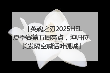 英魂之刃2025HEL夏季赛第五周亮点，坤归位长发隔空喊话叶孤城