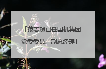 范志超已任国机集团党委委员、副总经理