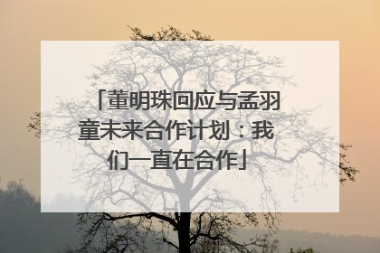 董明珠回应与孟羽童未来合作计划：我们一直在合作