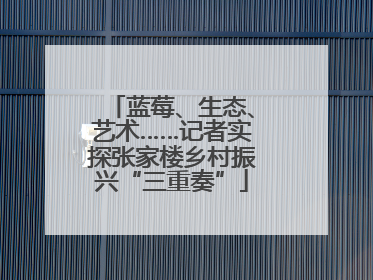 蓝莓、生态、艺术……记者实探张家楼乡村振兴“三重奏”