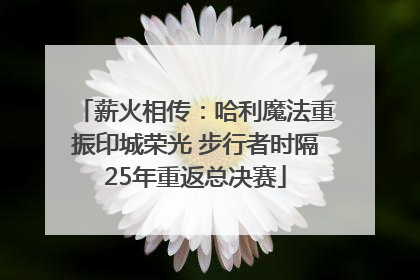 薪火相传：哈利魔法重振印城荣光 步行者时隔25年重返总决赛